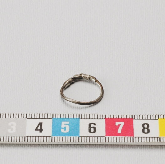 Gotland SHM 34663