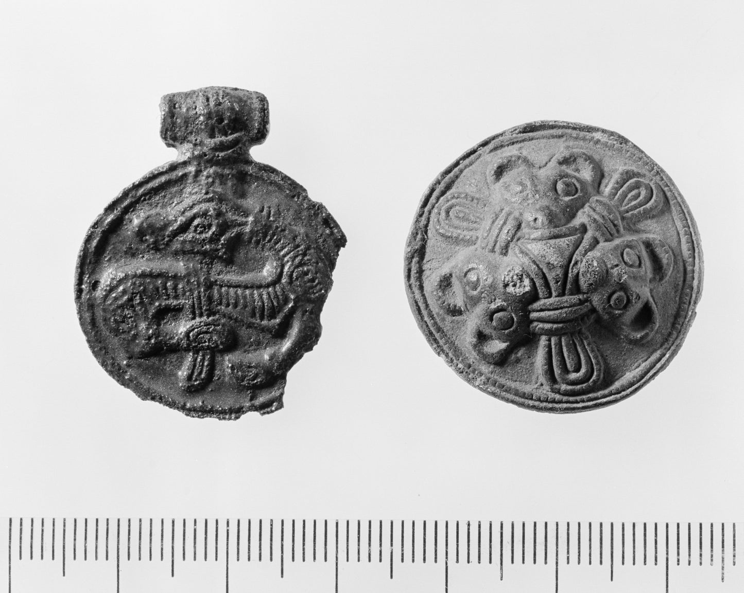 Trondheims bjørn, T1747