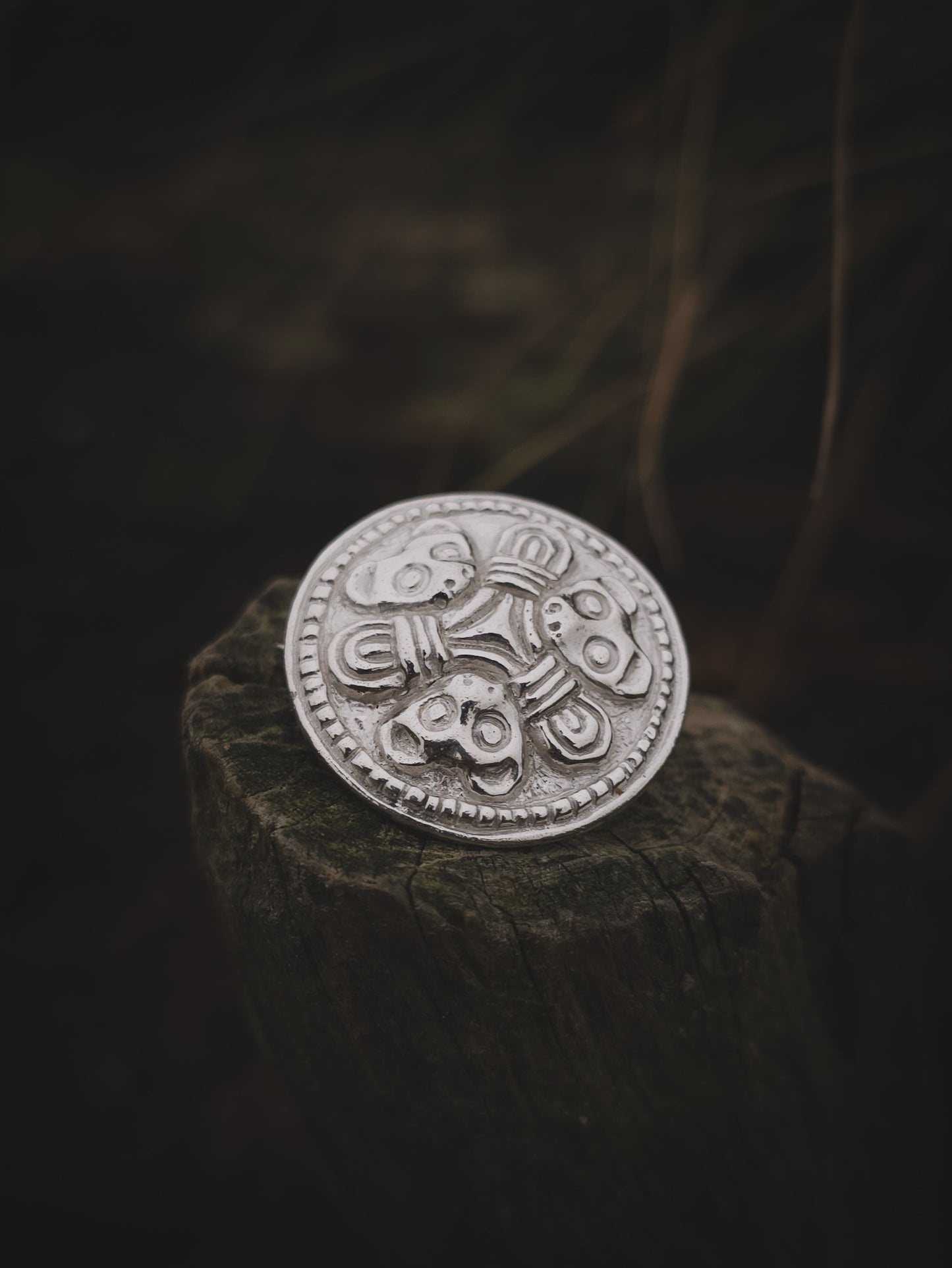 Trondheims bjørnen T1747