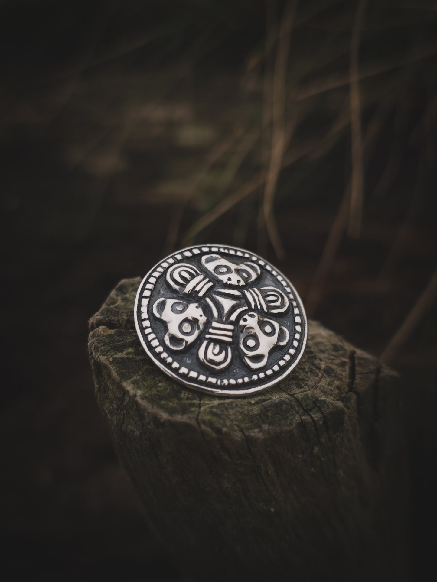 Trondheims bjørnen T1747