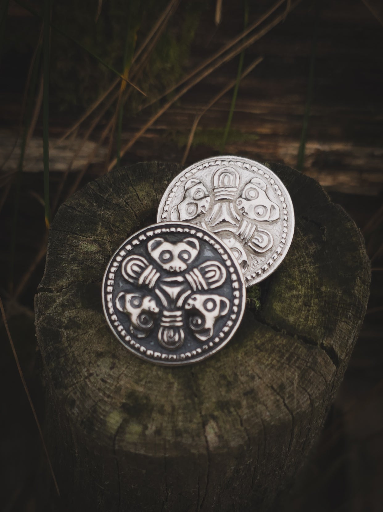 Trondheims bjørnen T1747